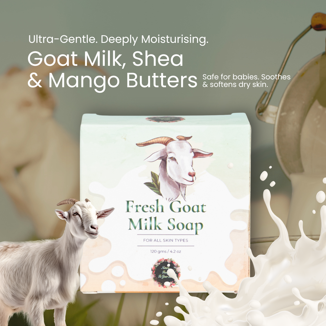 Goat Milk Soap nature-foody-skin