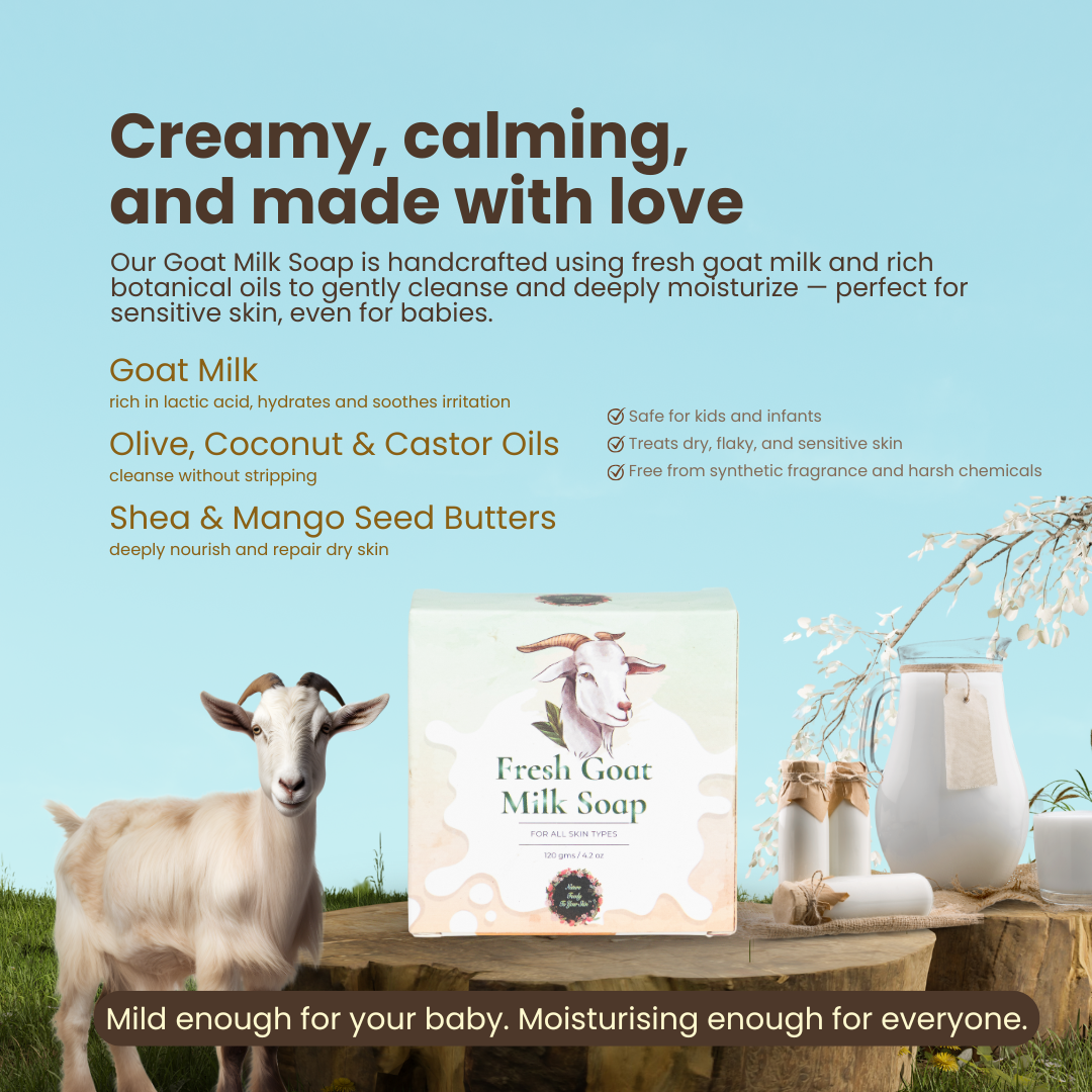 Goat Milk Soap nature-foody-skin