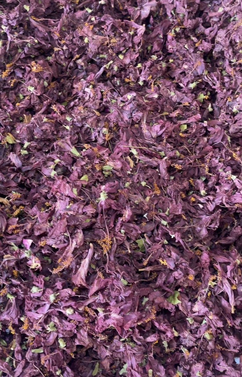 Solar Dried Hibiscus Flower